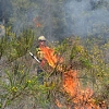 Sorry Smokey -- prescribed burns can  prevent forest fires, too