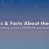 Myths and facts about the vax 