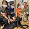 Wounded warriors and facility dogs: A mutual respect 