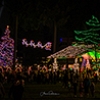 Don’t miss the City of Lacey’s annual holiday festivities