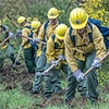 WNG preps for wildfires