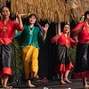 Don’t miss the Asia Pacific Cultural Center’s annual New Year celebration